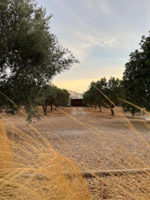 Quinta Da Alfarrobeira Peaceful Countryside Stay FAO Exterior photo