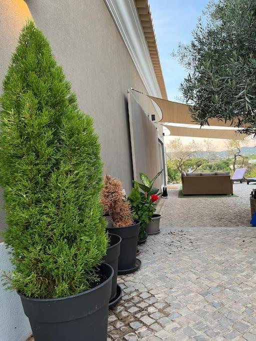 Quinta Da Alfarrobeira Peaceful Countryside Stay FAO Exterior photo