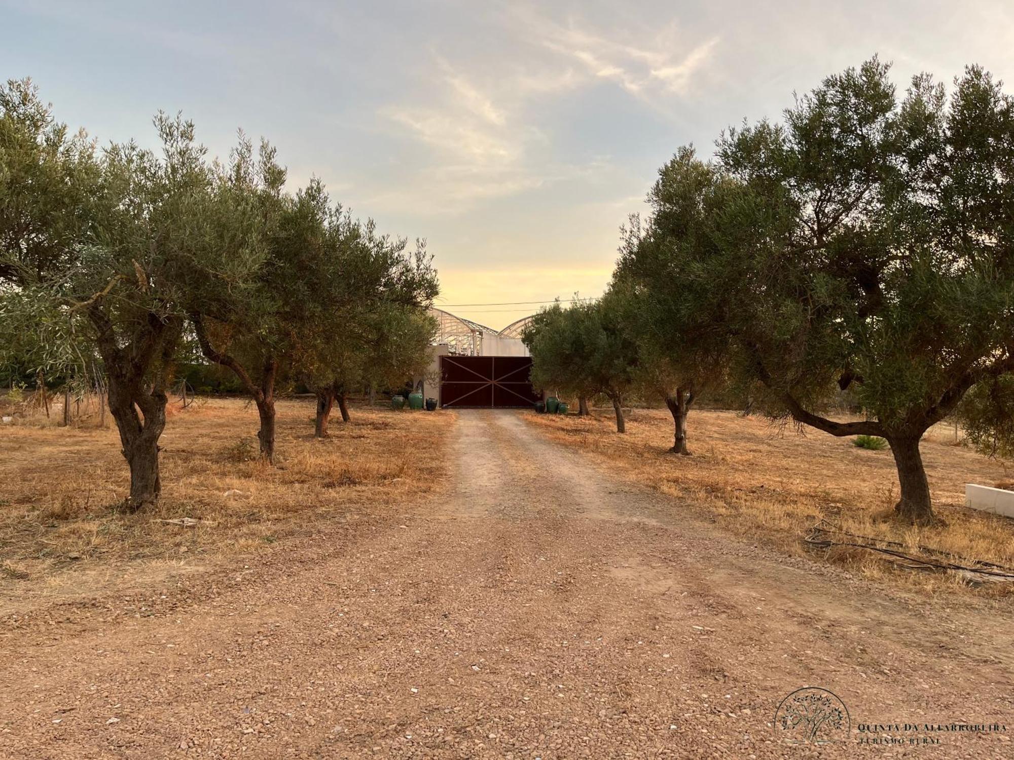 Quinta Da Alfarrobeira Peaceful Countryside Stay FAO Exterior photo